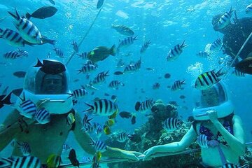 Private Bali Sea Walker Watersport