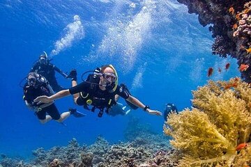 Explore Ras Muhammed & White Island 2 Diving Stop–Sharm El Sheikh
