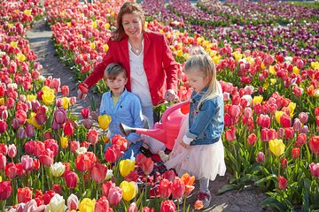 Tulip Tour from Amsterdam