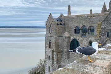 Live Guided Mont Saint-Michel D Day Private trip by Mercedes