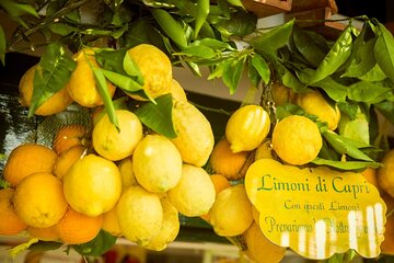 Capri & Positano Exclusive One Day Trip from Sorrento
