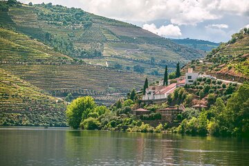 Douro Valley Vineyard Visits Wine Tasting Boat Ride and Lunch