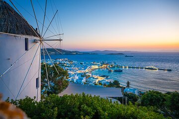 Mykonos Shore Excursion: Elia Beach & Town Exploration