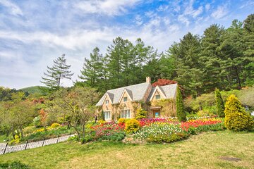 Day Trip to Nami Island with The Garden of Morning Calm