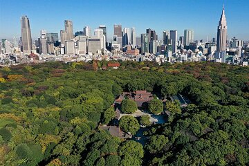 Tokyo: Meiji Shrine Walking Tour — Shintoism & Imperial System