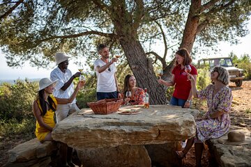 Private Wine Tour in Provence with an Expert