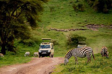 3 Days Private Budget Lodge Safari