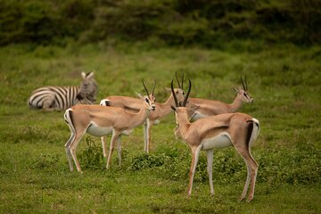 3 Days Private Budget Camping Tour