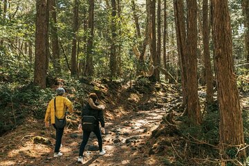 Mount Fuji Hidden Gems and Aokigahara Forest Tour