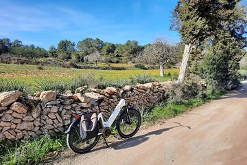 Discover Ibiza by E-Bike Santa Gertrudis de Fruitera