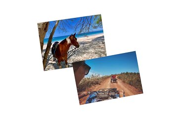 Tour Combo - WRCT Adventures Private Horseback & ATV/UTV Rides