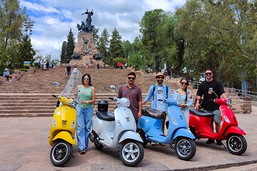 Tour of Mendoza with Winery and Olive Lunch