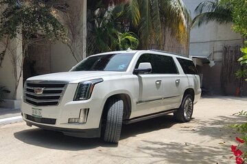 Luxury Transfers from Punta Cana to Bayahibe and La Romana