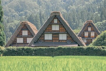 Private Tour from Nagoya to Takayama and Shirakawa-go 