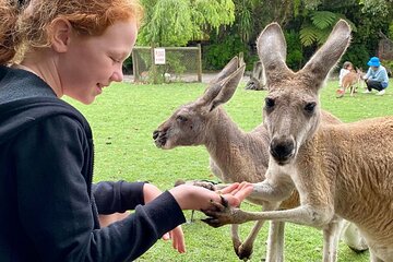 Bespoke Perth City and Surrounds Day Tour