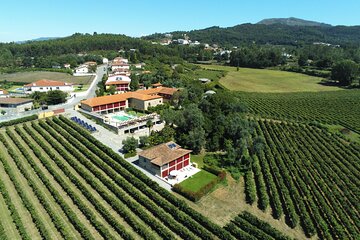 Green Wine Route and Gerês Tour from Porto 