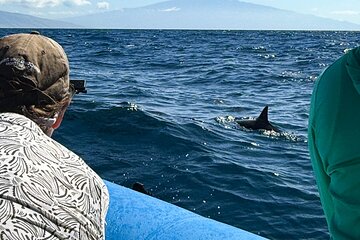 2 Hour Semi-Private Maui Dolphin Watch Sightsee Raft Tour 