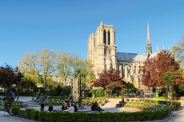 Private Walking Tour of Saint and Cite Island