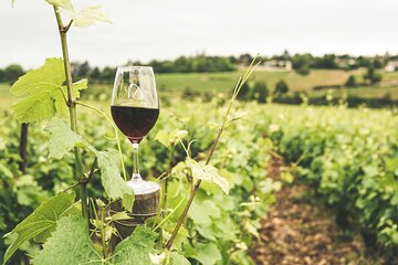 Exclusive Half-Day Wine Cultural Tour in Kefalonia