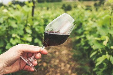 Historical and Authentic Kefalonia Wine Journey