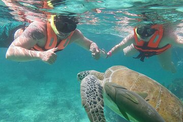 Snorkeling with sea turtle and Cenote Tour