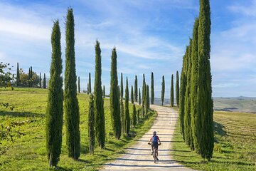 Asciano and Crete Senesi PRIVATE E-Bike Tour + Pick Up & Drop Off