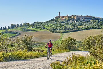 Pienza and Val d'Orcia PRIVATE E-bike Tour + Pick Up & Drop Off