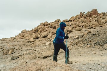 7 Days MT Kilimanjaro Private Hiking VIA Machame Route