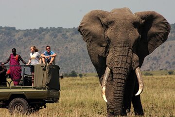 4 Day Kruger National Park and Panorama from Johannesburg