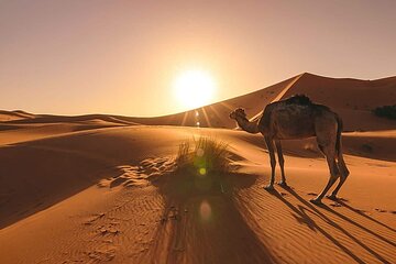 Marrakech To Fes 3 Days Desert Tours