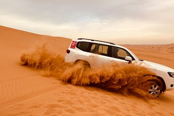 Dubai Morning Desert Safari Red Dune Camel Falcon & Sandboarding