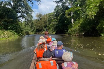 Explore the Emberá Community in the Panamanian Jungle