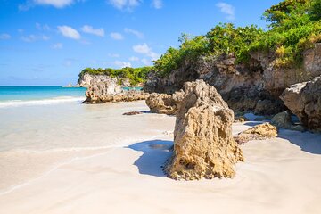 Punta Cana Buggy Adventure Off-Road Mud & Beach Experience