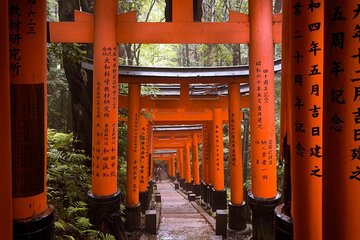 Full Day Kyoto and Nara Tour