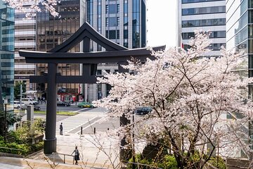 Private Tour in Tokyo with Local Guide
