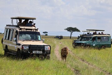 3 Day Private Tour in Maasai Mara with Lodge Luxury with Jeep