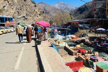 Marrakech Day Trip to Ourika Valley & High Atlas(+ Lunch)