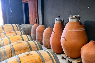 Tarragona Private Food and Wine Tour from Barcelona
