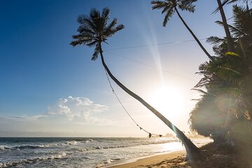 Southern Sri Lanka Day tour from Hambantota