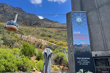  Experience Cape Town City & Table Mountain Cable Car Ride Tour
