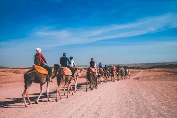  Marrakech Agafay Desert Camel Riding, Quad biking and Diner Show