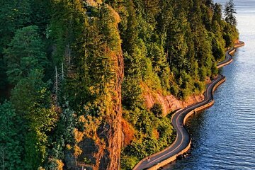Explore Stanley Park on Electric Scooters – Ride, Discover & Eat