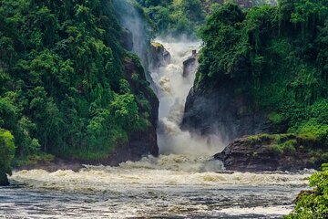 4 Day Uganda Wildlife Safari Tour Murchison Falls NP
