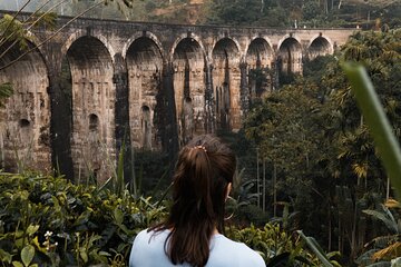 Ella Day Tour with Tea Factory All Inclusive Tour from Hambantota