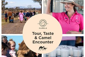 Tour, Taste & Camel Encounter
