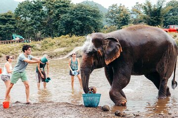 From Delhi: Taj Mahal Sunrise Tour with Elephant Conservation