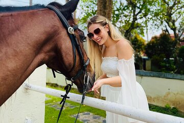 Saba Beach Bali Horse Ride