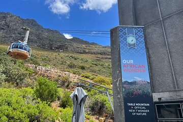 Cape Town Half-Day Table Mountain Cable Car Experience