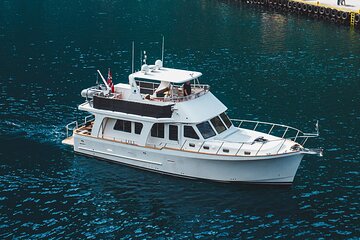 Private Mostraumen Fjord Cruise - Premium Explorer 50 Yacht