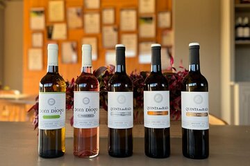 Guided Tour + Exclusive 5 wine Tasting